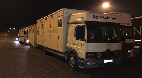 flughafenservice pferdetransport